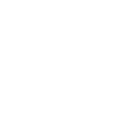 Black Diamond Ranch Logo